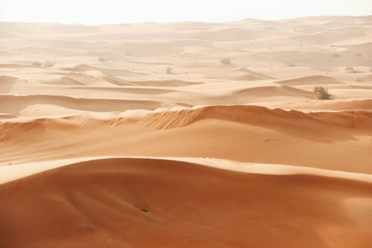 Sunlit desert dunes among the hidden gems Dubai visitors can explore
